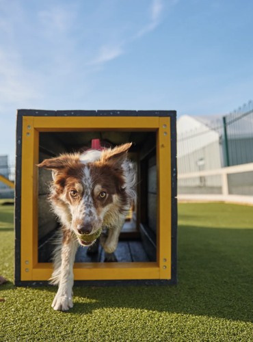 The Bark Yard at Kent Coast