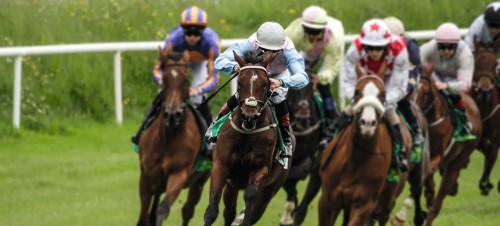 2. Musselburgh Racecourse 