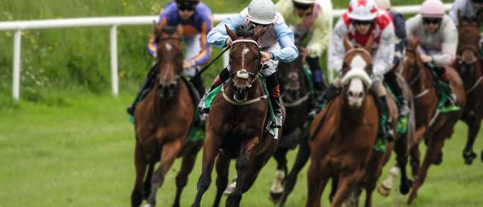 2. Musselburgh Racecourse 