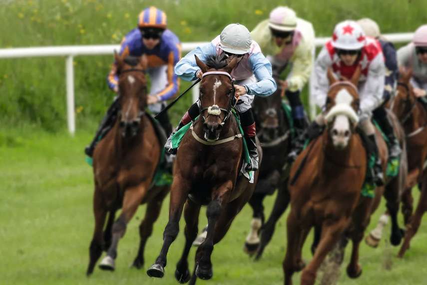 2. Musselburgh Racecourse 