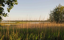 Upton Country Park, Poole