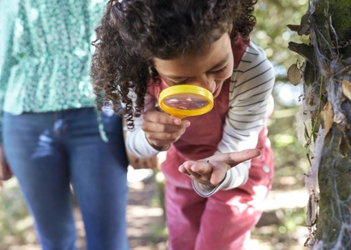 Top 10 nature activities for kids