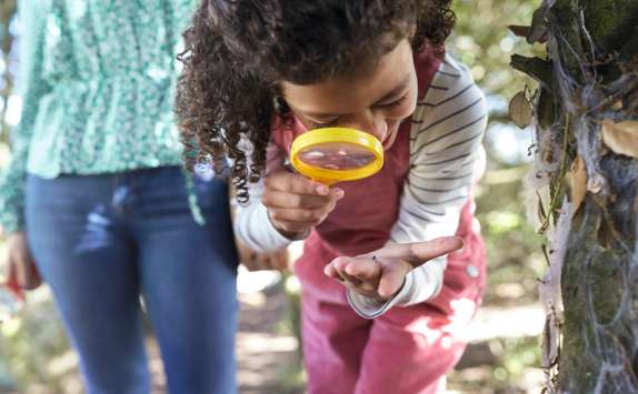 Image for Haven Ranger