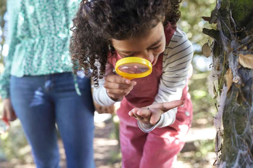 More nature activities