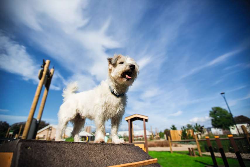 Golden Sands, Lincolnshire