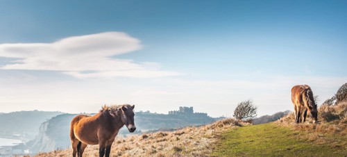Places to go glamping