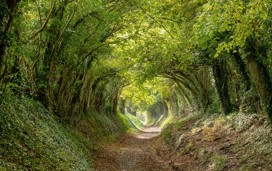 Best walks in Chichester  