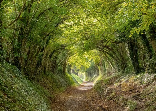 10 Best walks in Chichester  