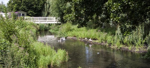 2. Fairhaven Woodland and Water Garden 