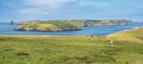 Marloes Peninsula walk 