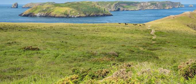Marloes Peninsula walk 
