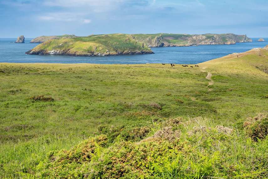 Marloes Peninsula walk 