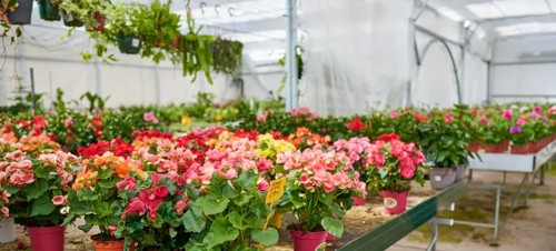 February
