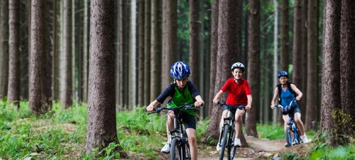 Things to do with kids aged 4-11 in the Lake District