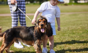 Dog Friendly Holidays in Kent