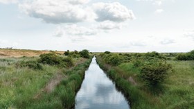 Nature reserve at Kent Coast