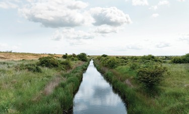 Nature reserve at Kent Coast