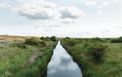 Nature reserve at Kent Coast