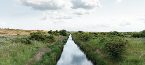 Nature reserve at Kent Coast