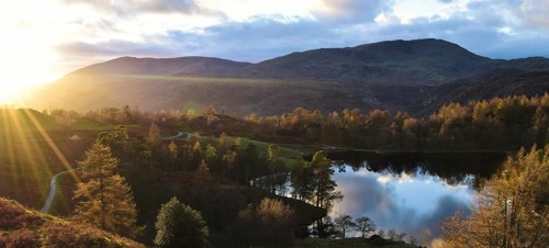 Tarn Hows Circular Walk 
