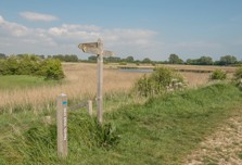 Pagham Harbour nature reserve