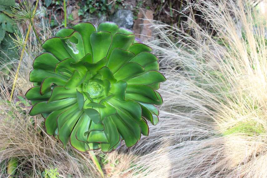 3. Tremenheere Sculpture Gardens 