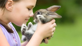 Girl is holding a cute little rabbit