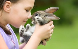 Girl is holding a cute little rabbit