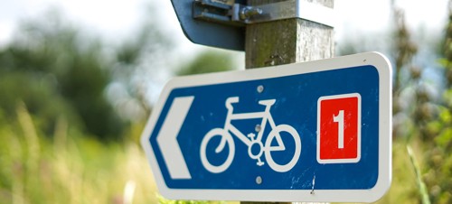 5. Hire a bike 