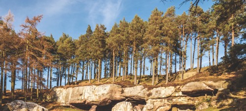 Holburn Grange and St Cuthbert’s Cave, Holburn 
