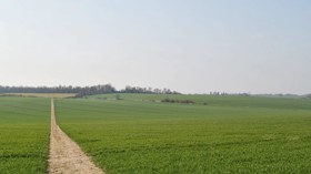Countryside footpath across green fields in Kent