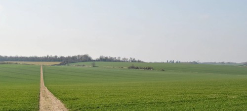 Countryside footpath across green fields in Kent