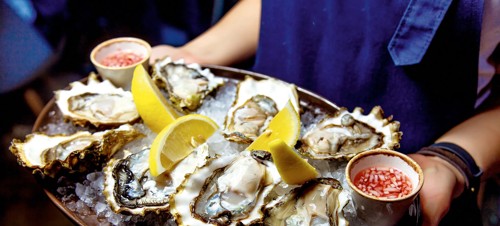 8. Slurp some Oysters at Wheelers Oyster Bar