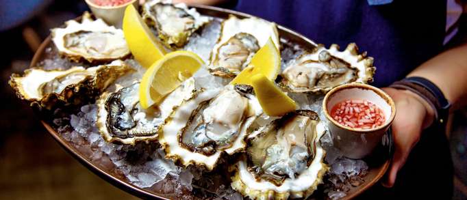 8. Slurp some Oysters at Wheelers Oyster Bar