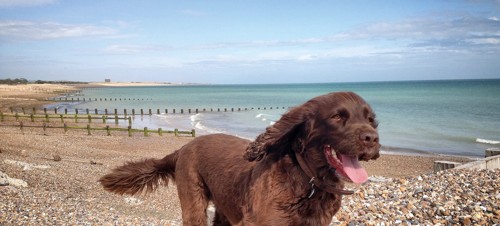 6. Climping Beach, Littlehampton