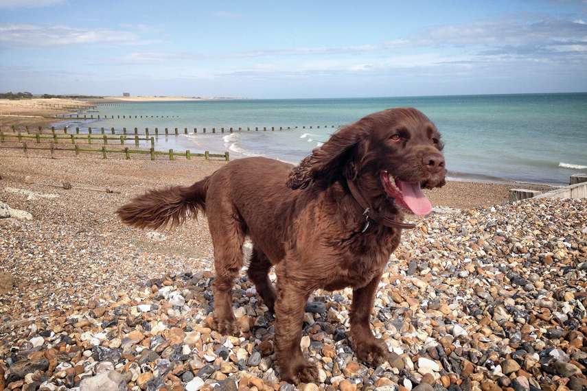 6. Climping Beach, Littlehampton