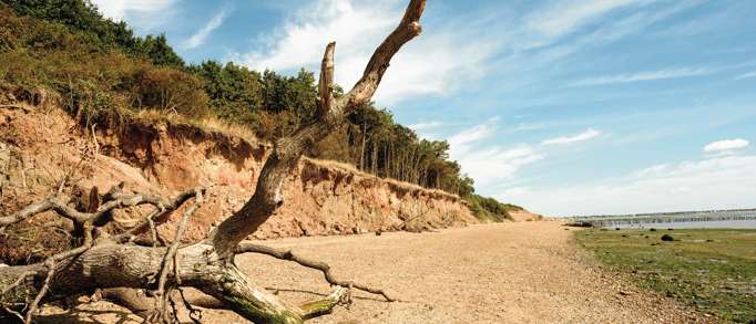 9. Cudmore Grove Country Park