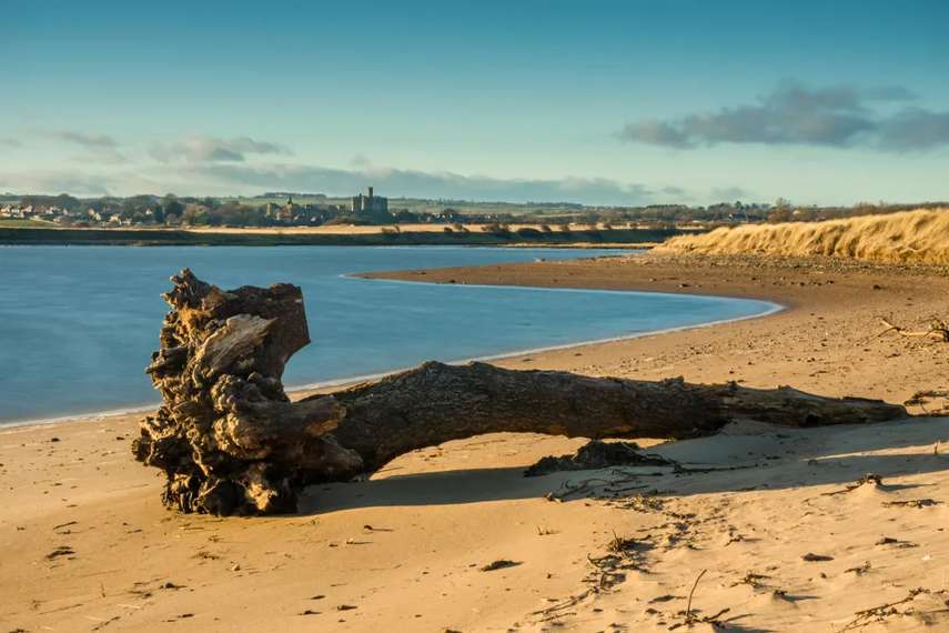 Warkworth Beach, Warkworth