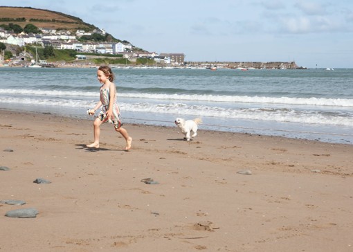 Dog-friendly things to do in South Wales