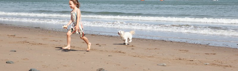 Dog friendly holidays