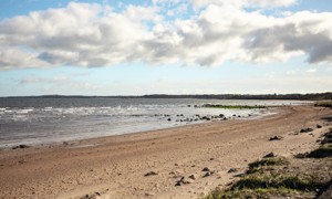 The coast stretching to Port Seton