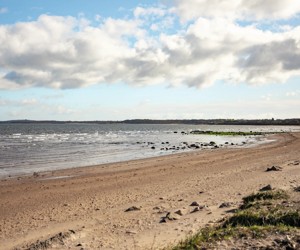 The coast stretching to Port Seton