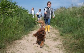 Dog-friendly holidays