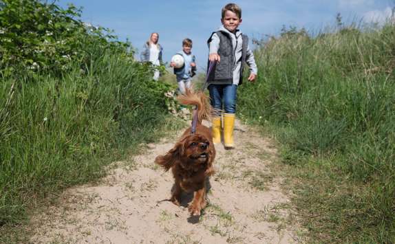 Image for Our Price Promise