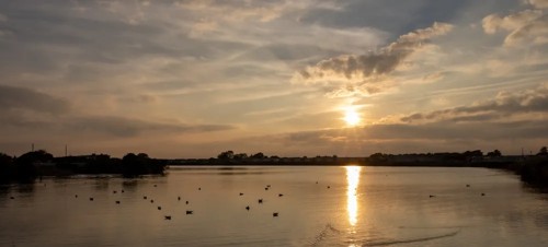 5. Pagham Lagoon 