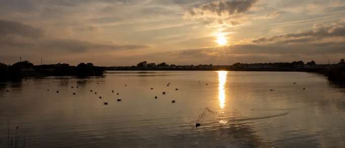 5. Pagham Lagoon 