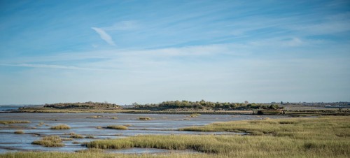 Riverside Country Park, Rainham