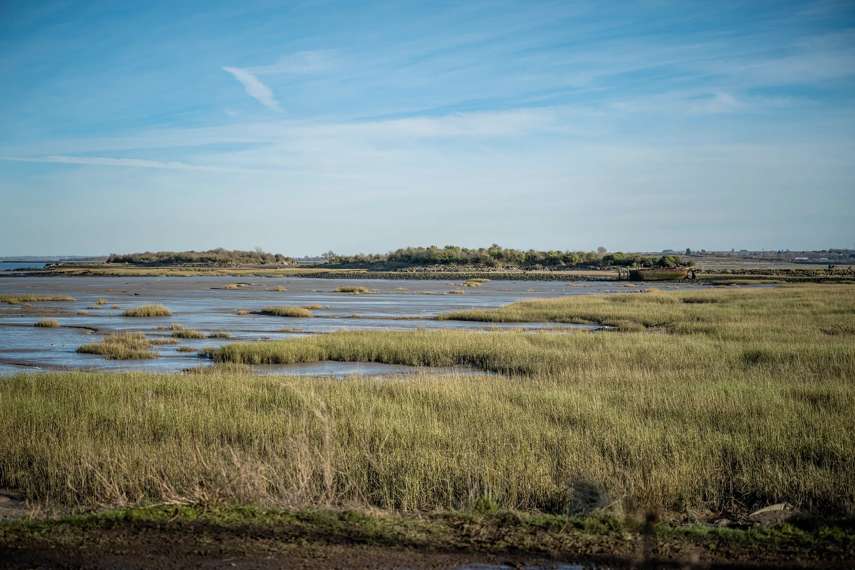 Riverside Country Park, Rainham