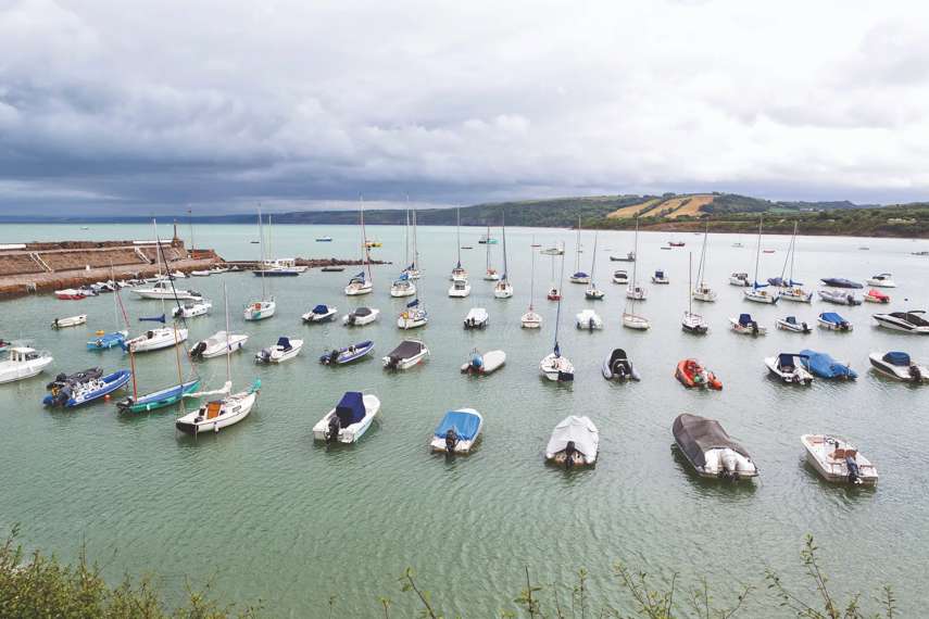 Dolphin Survey Boat Trips 