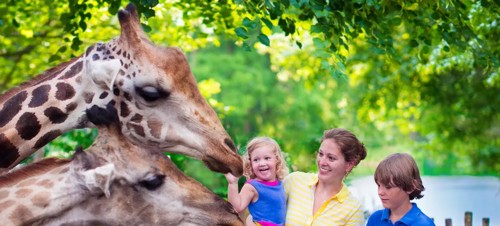 Best places to visit for babies and toddlers in Norfolk